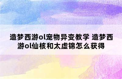 造梦西游ol宠物异变教学 造梦西游ol仙核和太虚锦怎么获得